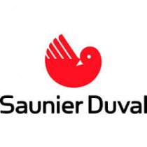 Saunier Duval Electrodes