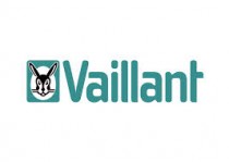 Vaillant Gas Section & Gas Valves